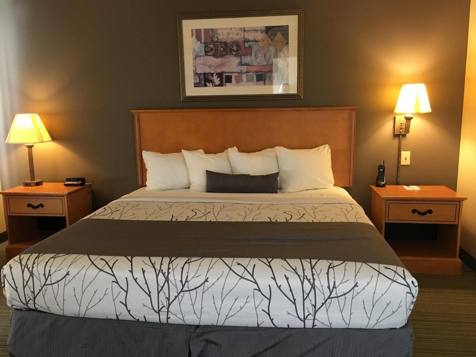Wingate By Wyndham Coon Rapids Hotel Kültér fotó